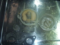 P1100966