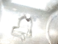 DSCN8771