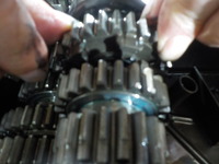 DSCN0662