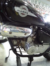 magna50 (1)
