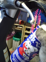 lets4ws20120829 (19)