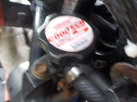 DSCN4391