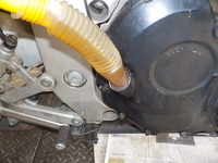 DSCN1710