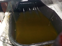 DSCN6755