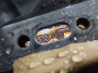 DSCN4558