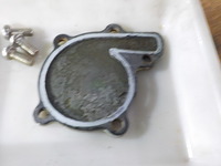 DSCN6584