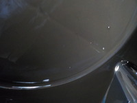 DSCN4358