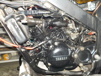 DSCN5367