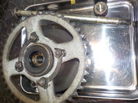 DSCN1146