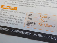 DSCN5481