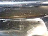 DSCN0045