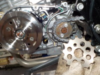 DSCN0254