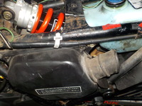 DSCN5290