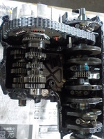 DSCN0647