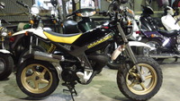 SN3U0035 (2)