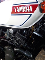 DSCN0962