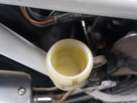 DSCN2295