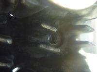 P1050183