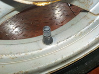 DSCN4499