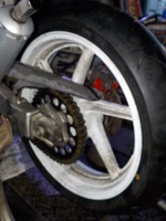 DSCN8731