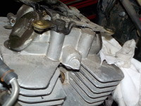 DSCN8110