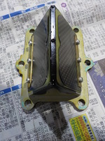 DSCN3024