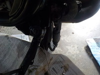 DSCN3985
