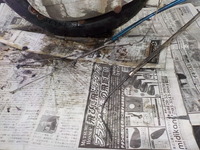 DSCN0408
