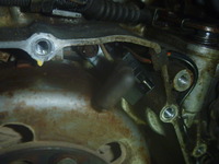 P1230541