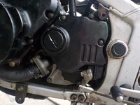 DSCN5173