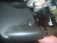 P1260241