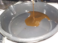 DSCN4934