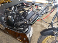 DSCN9746