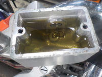 DSCN3959