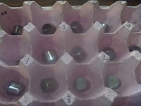 P1240979