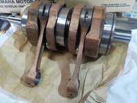 DSCN8140