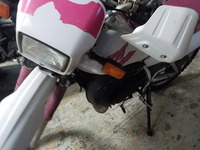 DSCN3911