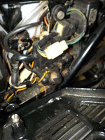 DSCN8878