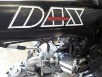 DSCN6228