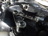 DSCN5783