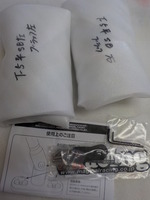 DSCN6928