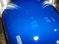 DSCN6784