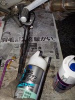 DSCN5341