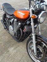 DSCN3981
