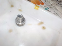 DSCN0346