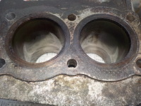 DSCN3445