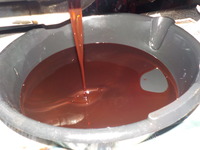 DSCN4785