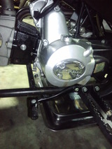 buggy-china20120913ws (4)