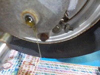 DSCN7111