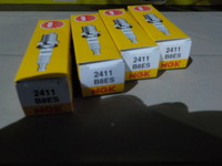 DSCN4494